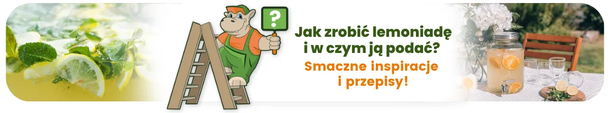 Jak zrobić lemoniadę i w czym ją podać? Smaczne inspiracje i przepisy!